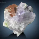 Morganite with Tourmaline and Kunzite from Afghanistan - image 3