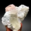 Morganite with Tourmalines, Quartz Microclite and Cleavelandite Albite Specimen - 308 g - image 2