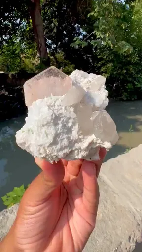 specimen video