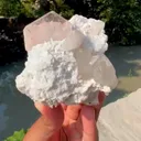 specimen video