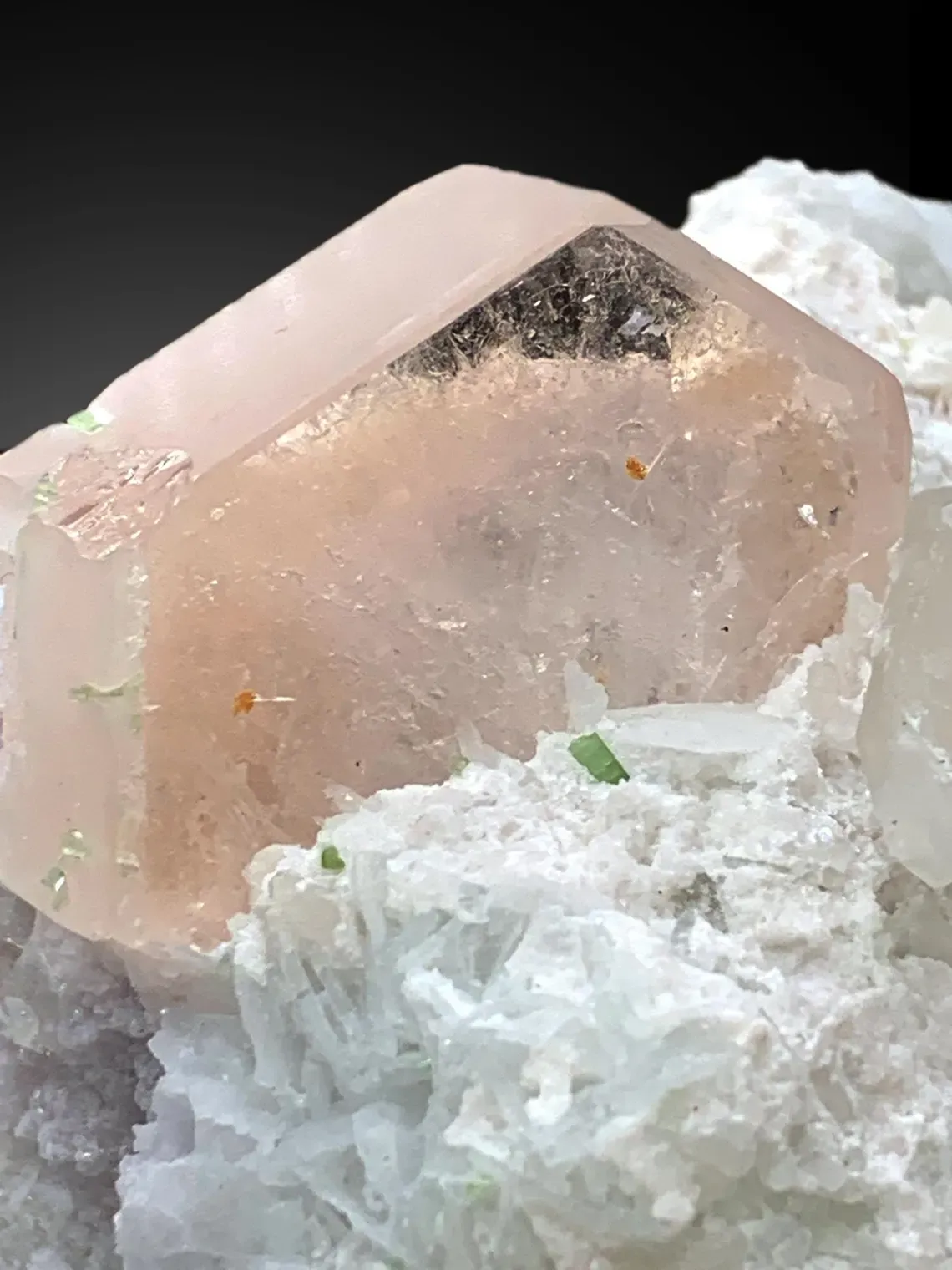 Morganite with Tourmalines, Quartz Microclite and Cleavelandite Albite Specimen - 308 g - image 7