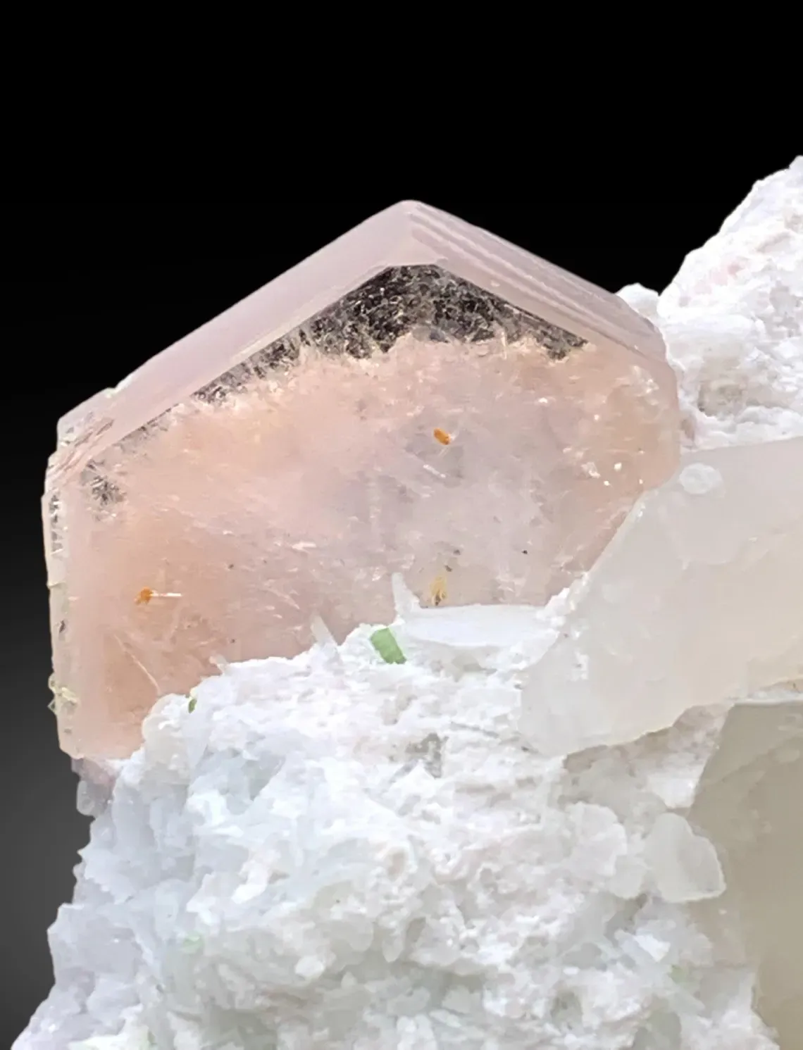 Morganite with Tourmalines, Quartz Microclite and Cleavelandite Albite Specimen - 308 g - image 4