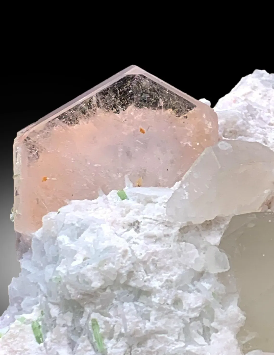 Morganite with Tourmalines, Quartz Microclite and Cleavelandite Albite Specimen - 308 g - image 6
