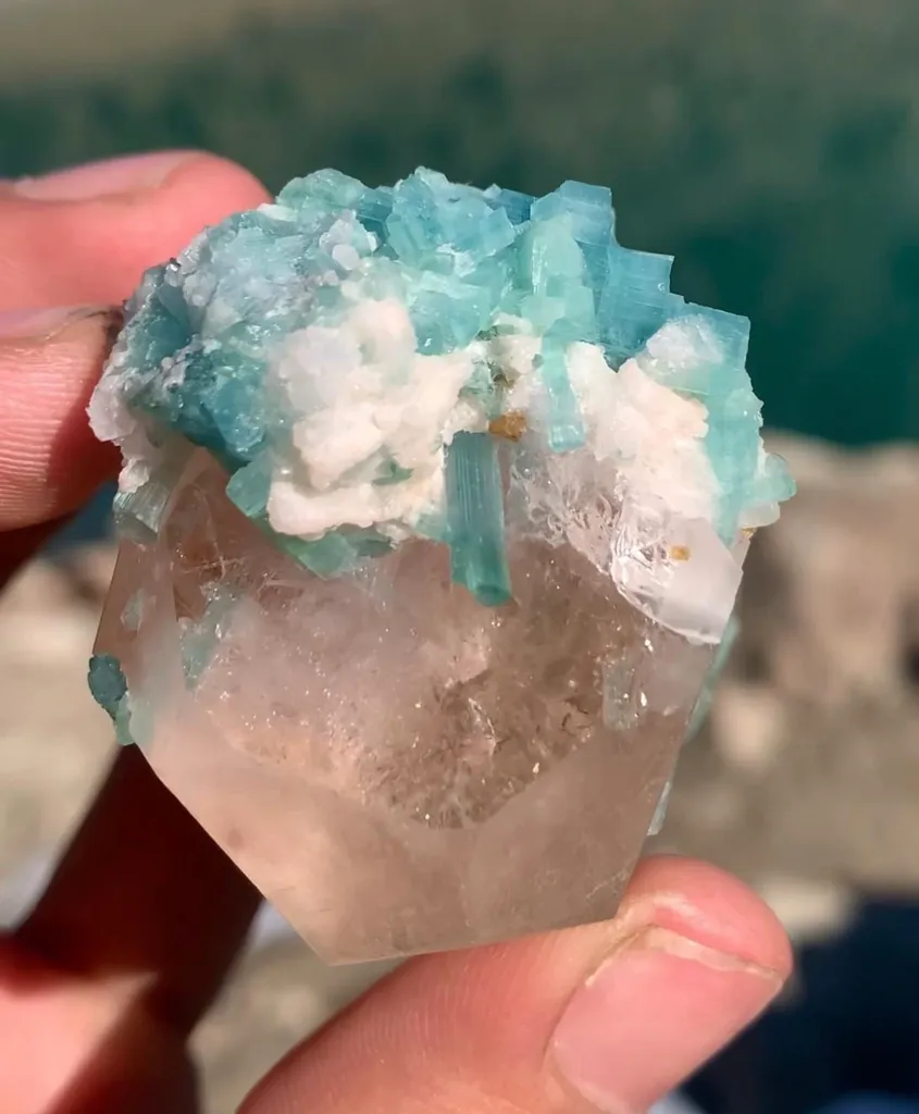Morganite x Indicolite Tourmaline x Microlite x Quartz from Afghanistan - image 3