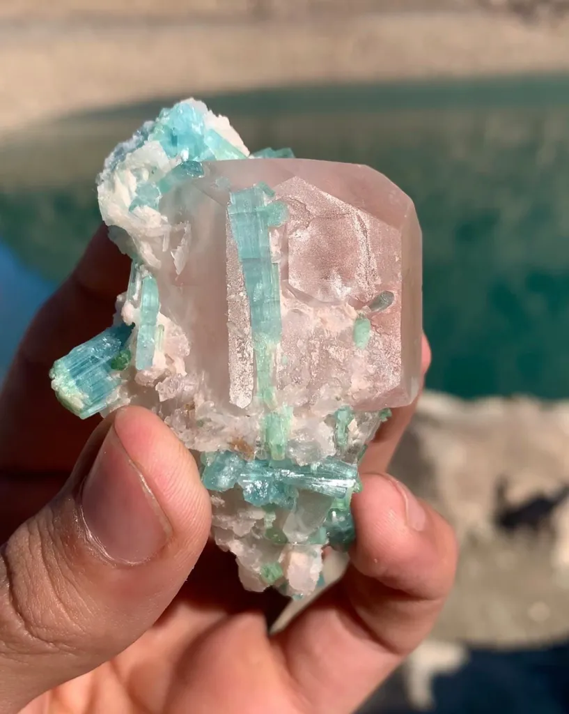 Morganite x Indicolite Tourmaline x Microlite x Quartz from Afghanistan - image 4