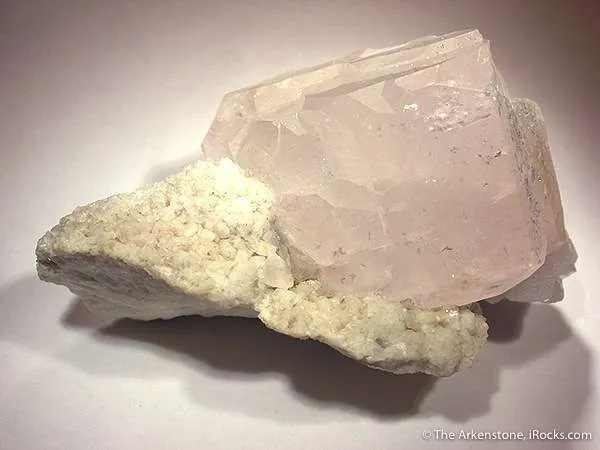 Morganite/Aquamarine on Albite image