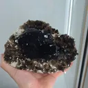 specimen video