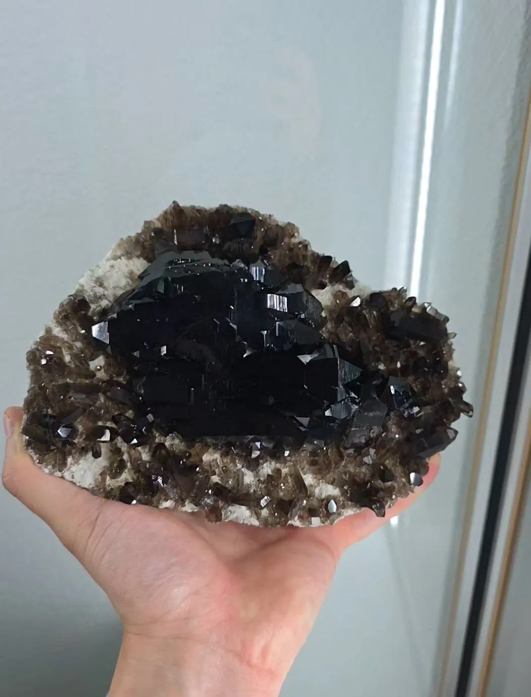 specimen video