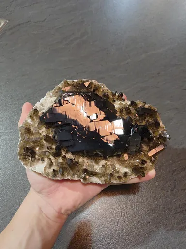 specimen video