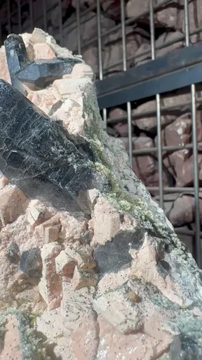 specimen video