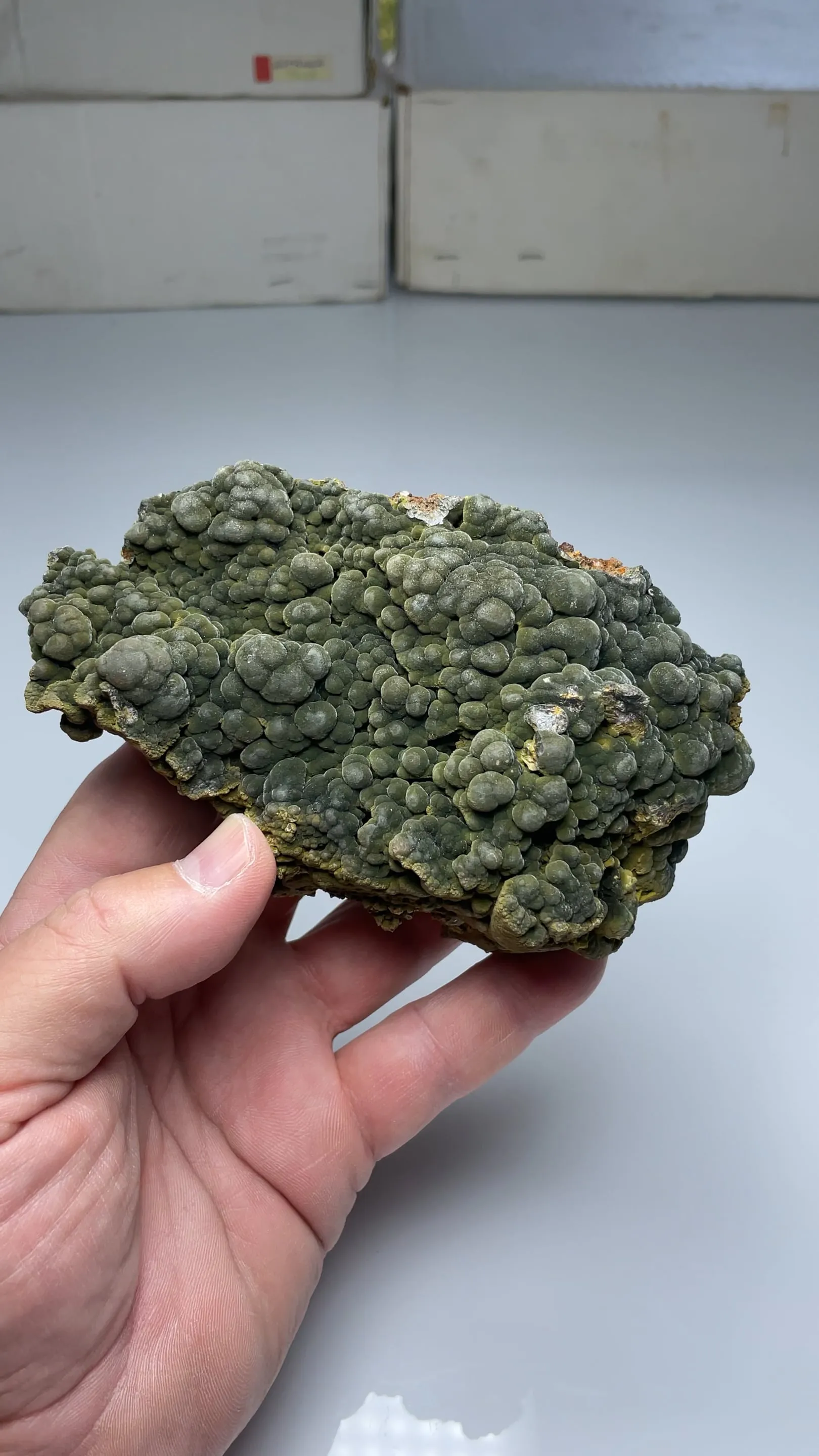 Mottramite - image 2