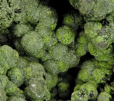Mottramite - image 2