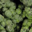 Mottramite - image 2