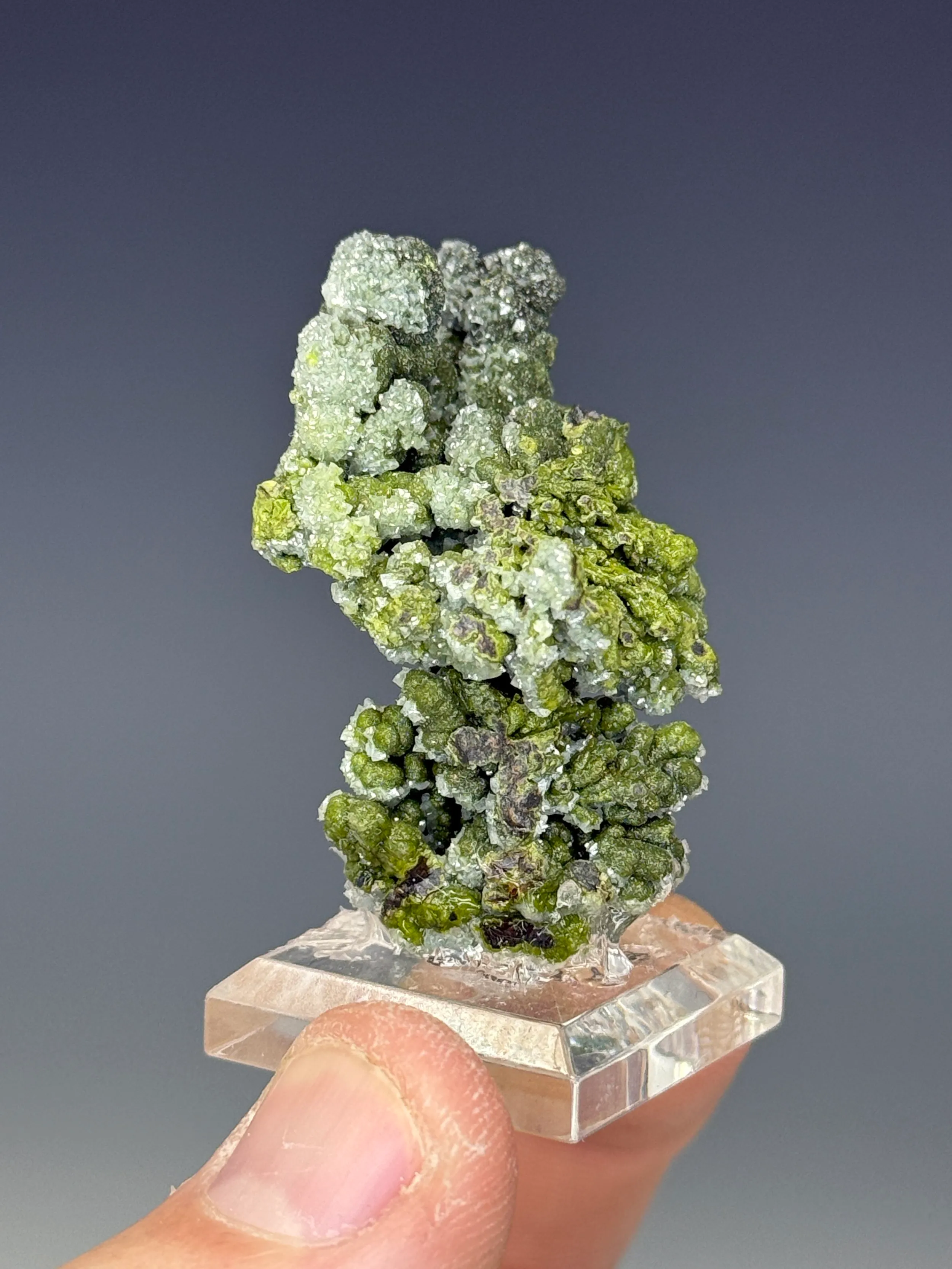 Mottramite - image 2