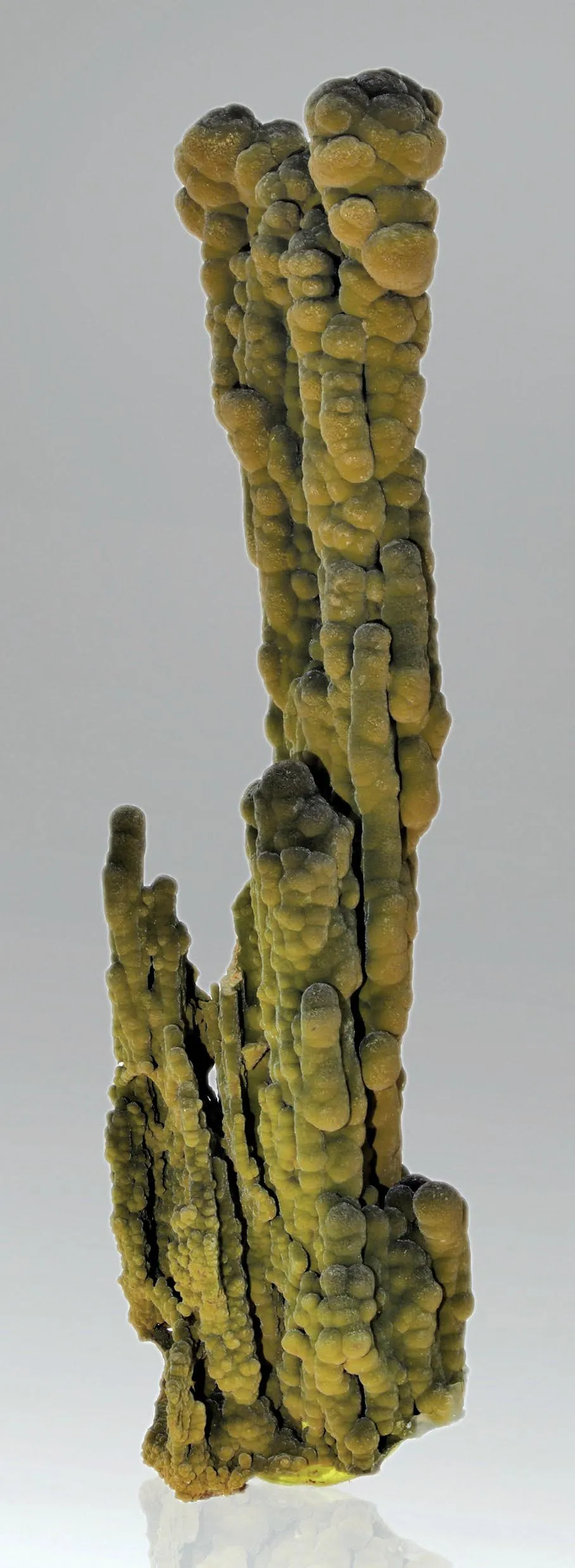 Mottramite - image 1