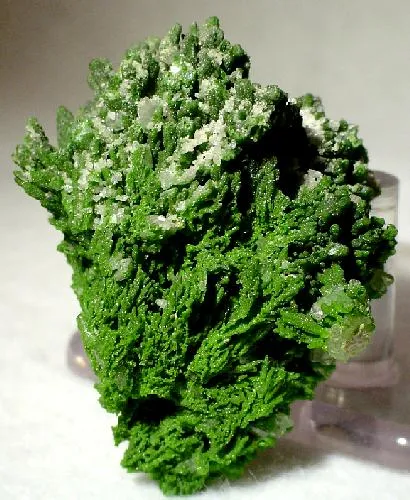 Mottramite image