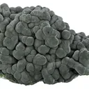 Mottramite - image 4