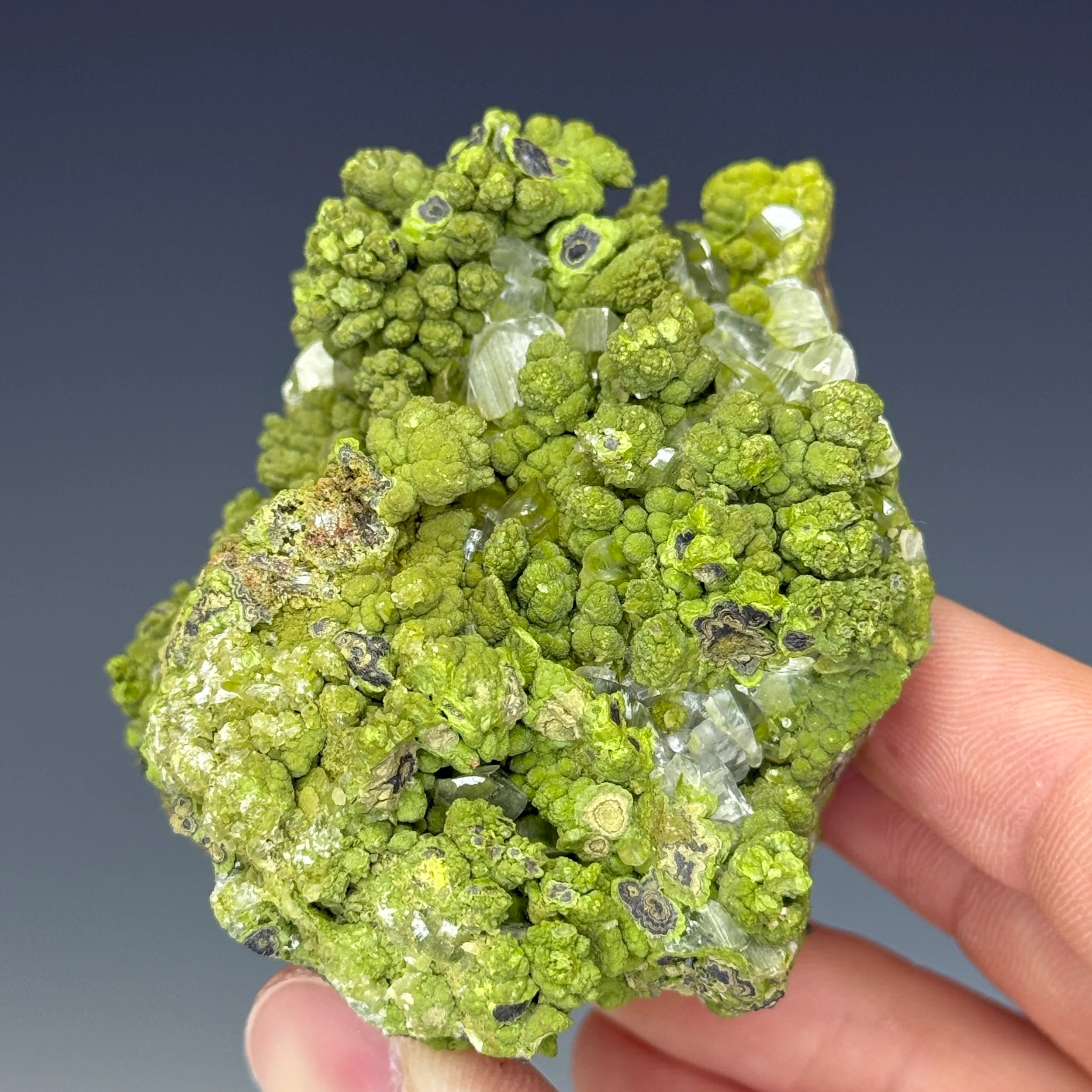 Mottramite - image 3
