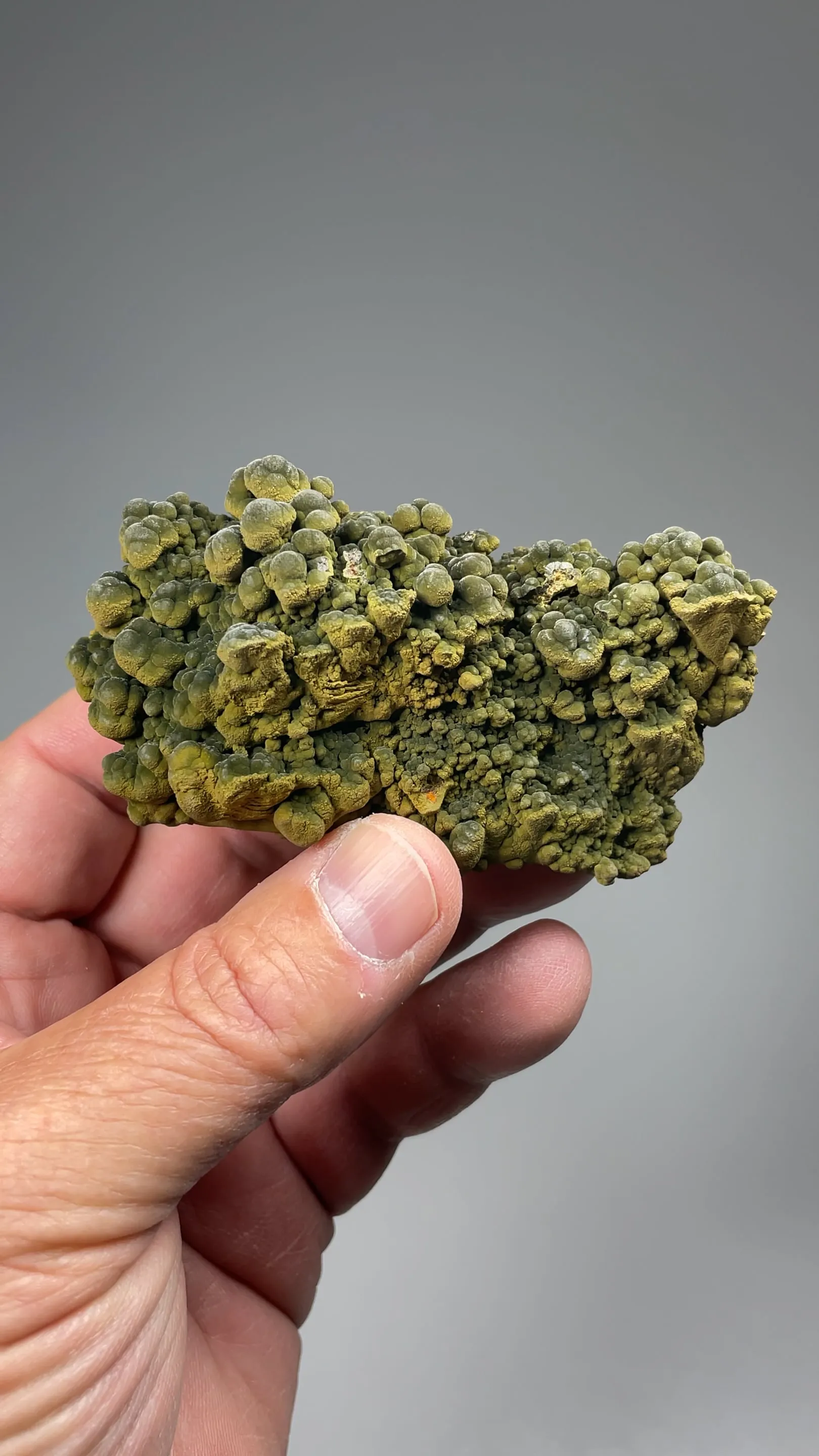 Mottramite - image 2