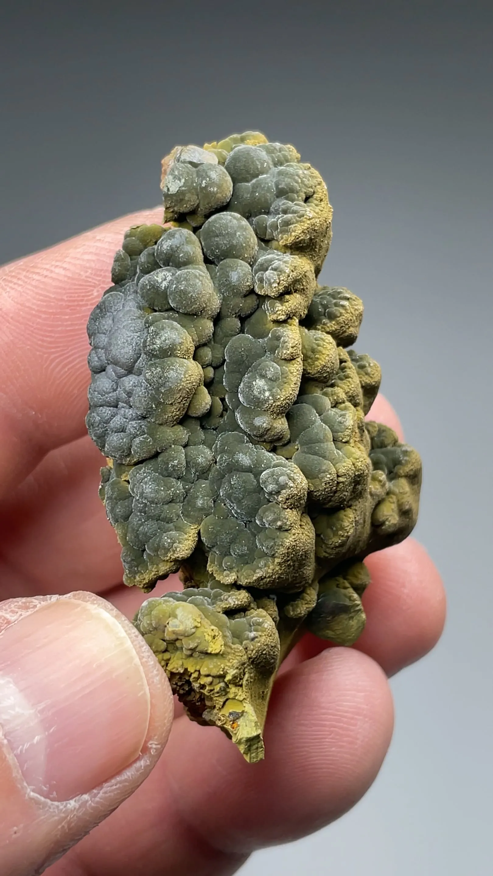 Mottramite - image 2