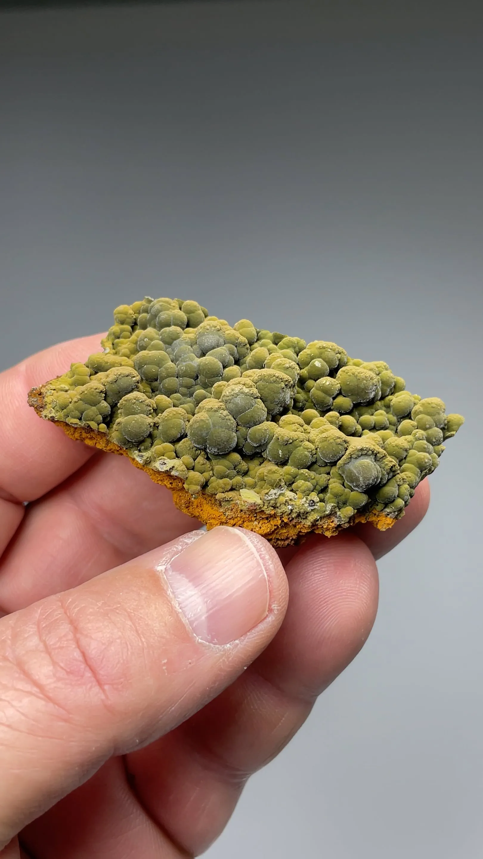 Mottramite - image 2