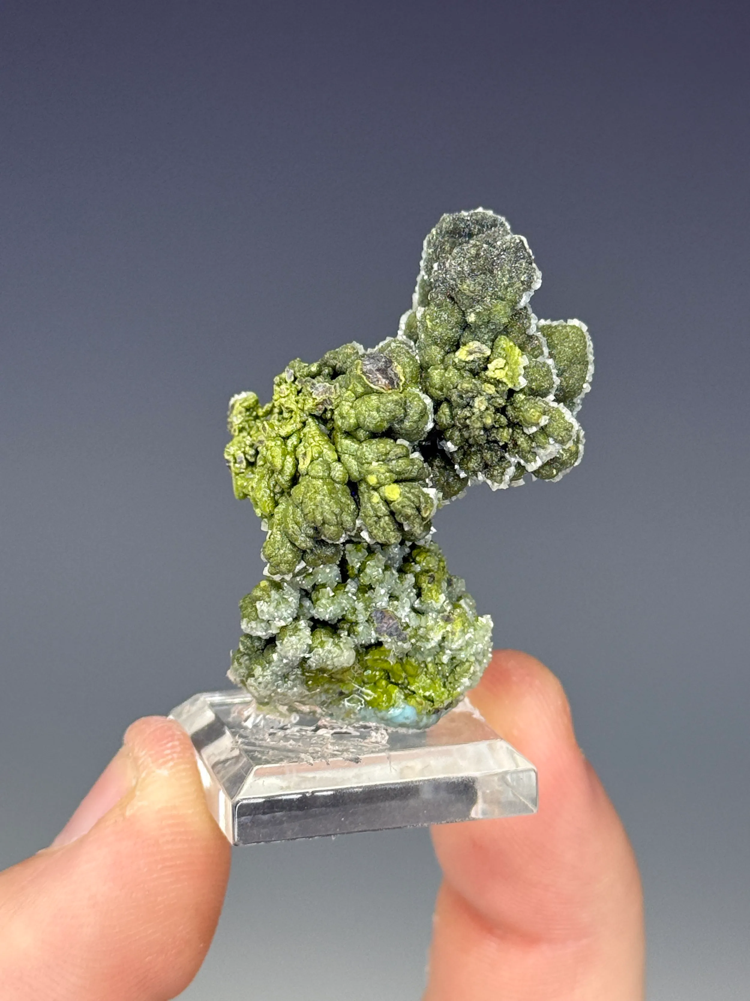 Mottramite - image 3