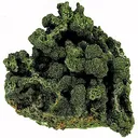 Mottramite - image 1