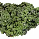 Mottramite - image 1