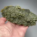 Mottramite - image 2