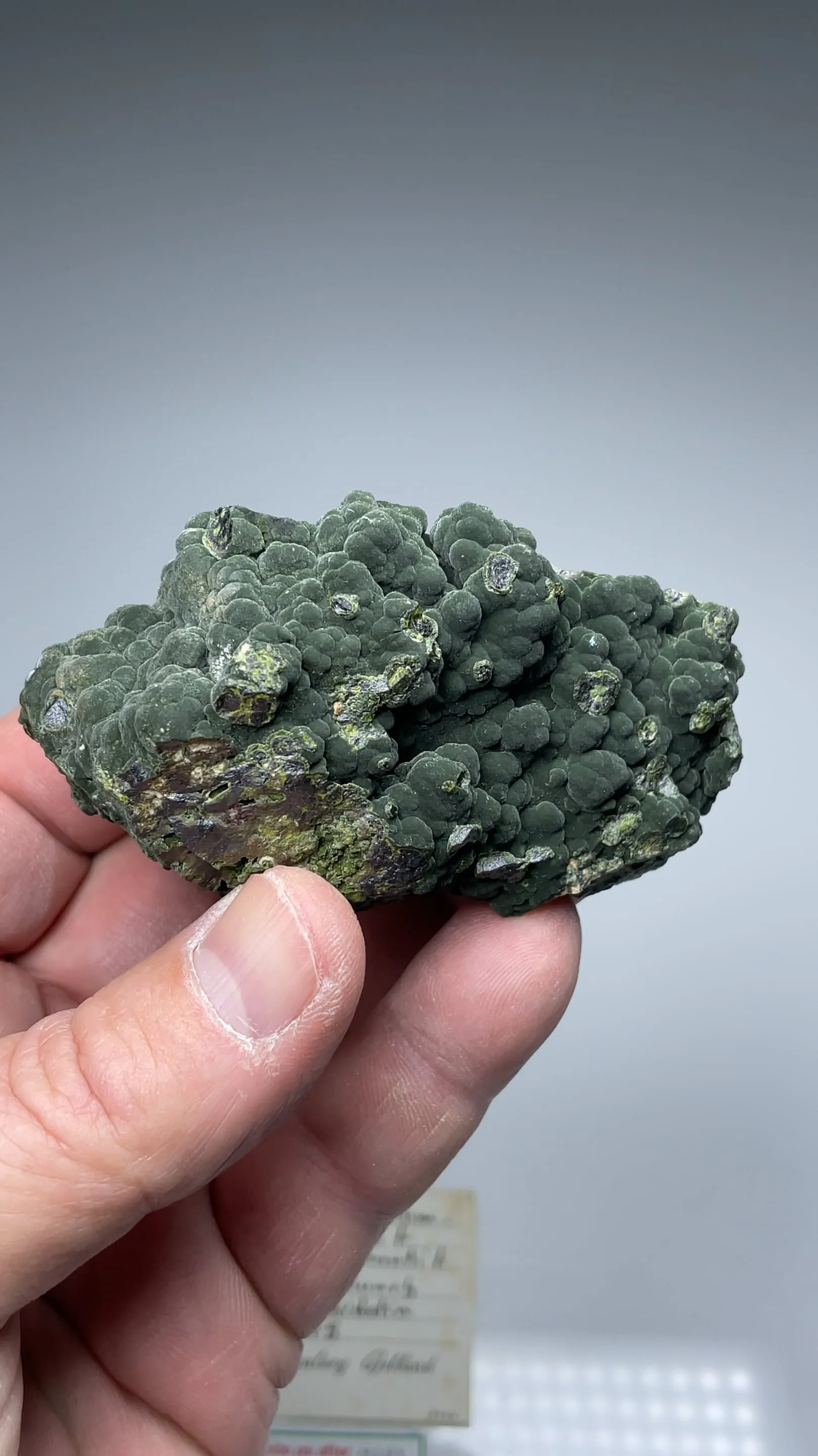 Mottramite - image 2