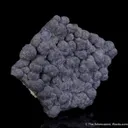 Mottramite - image 4