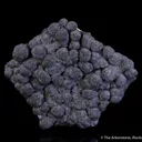 Mottramite - image 2