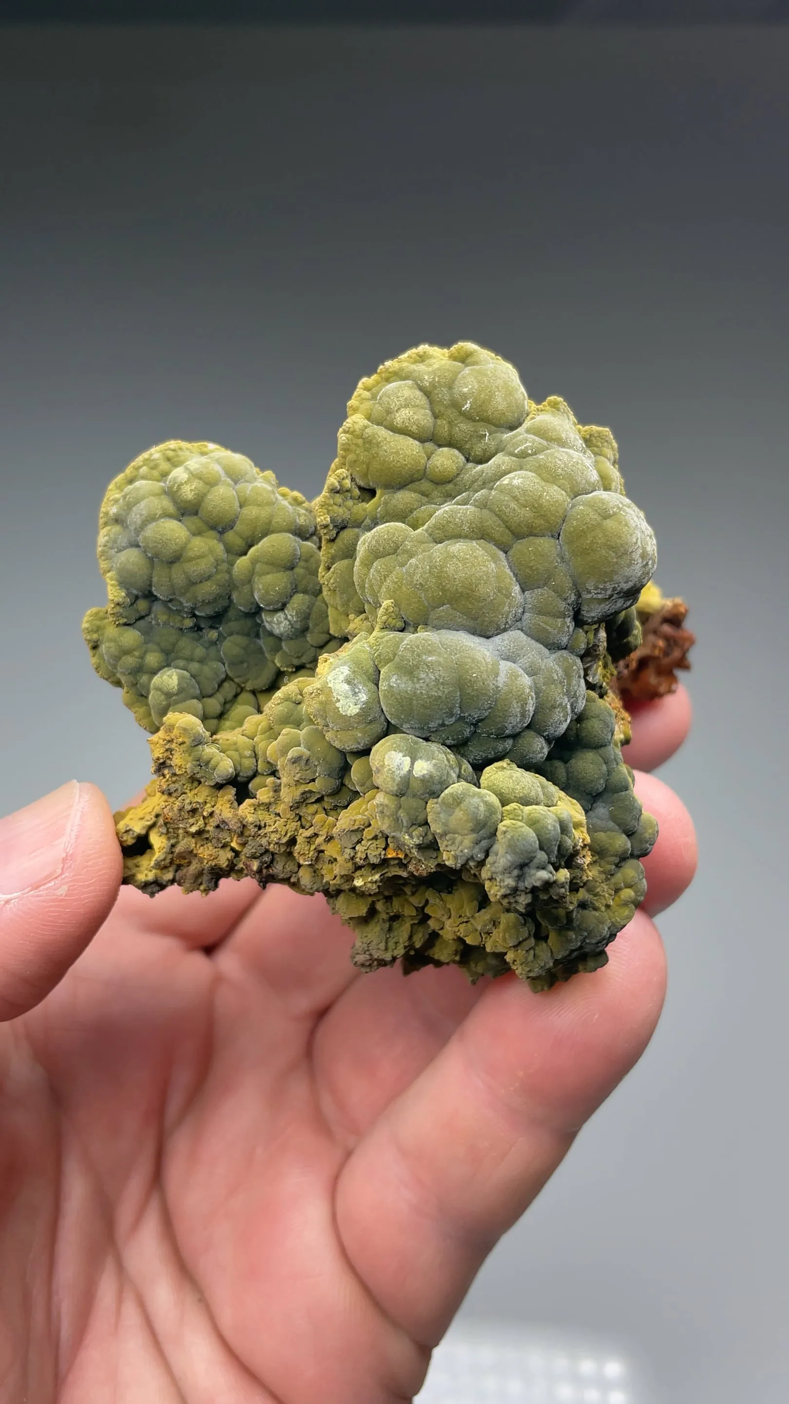 Mottramite - image 2