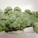 Mottramite, Cuprite - image 1