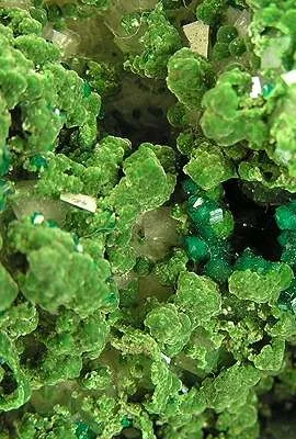 Mottramite, Dioptase, Calcite - image 2