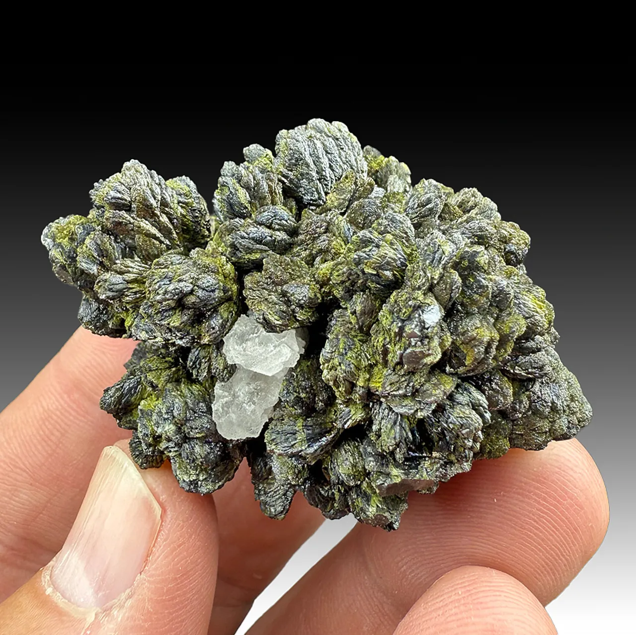 Mottramite - image 1