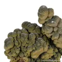 Mottramite - image 1