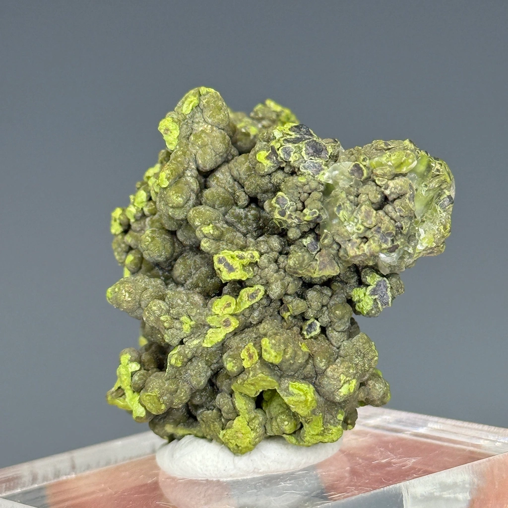 Mottramite from Tsumeb, Oshikoto Region, Namibia - image 2