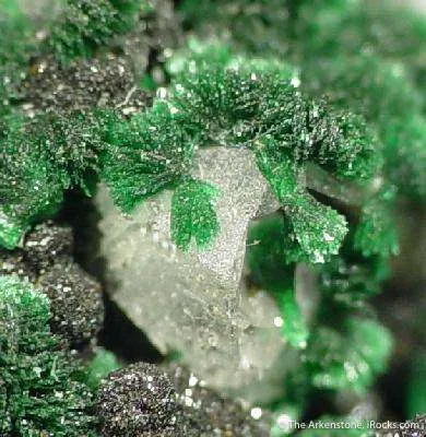 Mottramite & Malachite - image 2