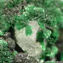 Mottramite & Malachite - image 2