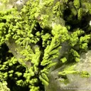 Mottramite on And Investing Calcite - image 2