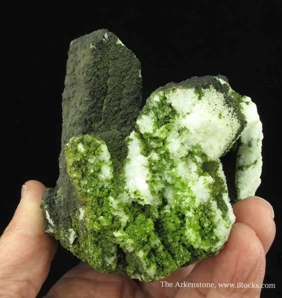 Mottramite on Aragonite Var. Tarnowitzite - image 5