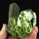 Mottramite on Aragonite Var. Tarnowitzite - image 5