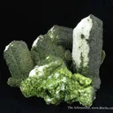 Mottramite on Aragonite Var. Tarnowitzite - image 1