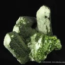 Mottramite on Aragonite Var. Tarnowitzite - image 2