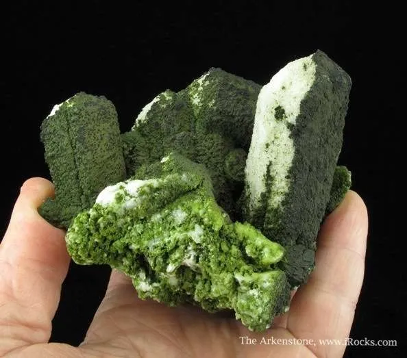 Mottramite on Aragonite Var. Tarnowitzite - image 4