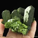 Mottramite on Aragonite Var. Tarnowitzite - image 4
