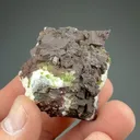 Mottramite on Calcite with Conichalcite - image 2