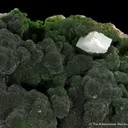 Mottramite with Calcite - image 2