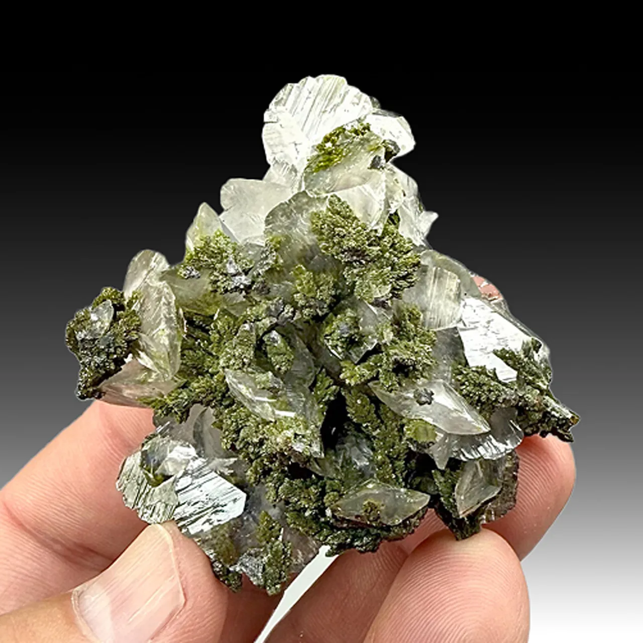 Mottramite with Calcite - image 1